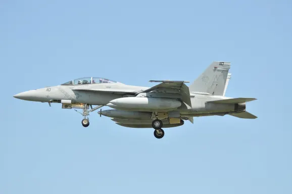 Casino Crypto Wild Support